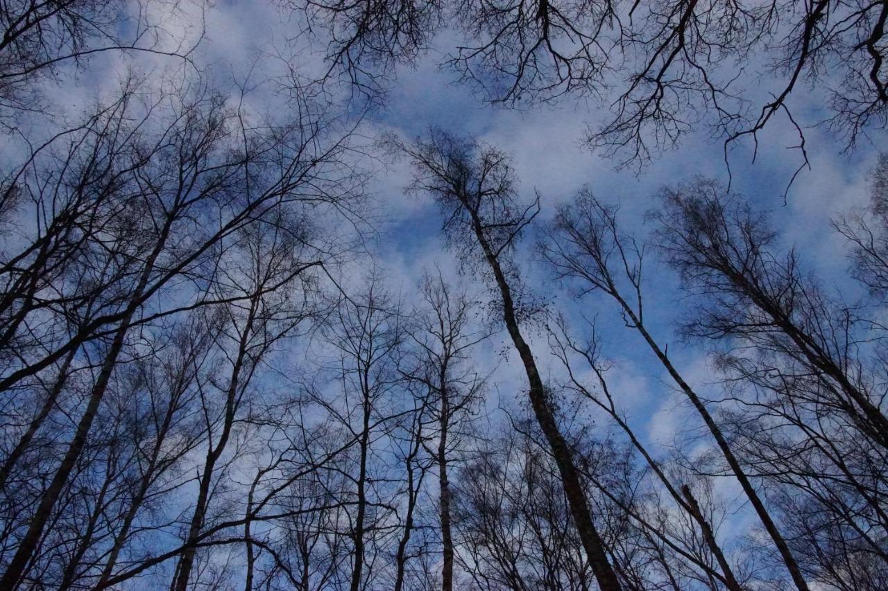 Gaestehaus Koehler Waldsolms Exteriör bild
