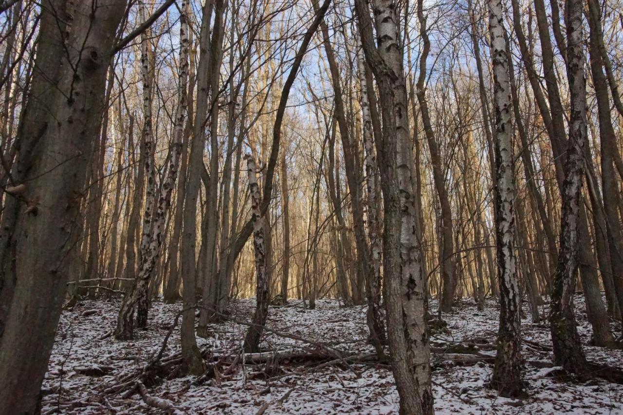 Gaestehaus Koehler Waldsolms Exteriör bild