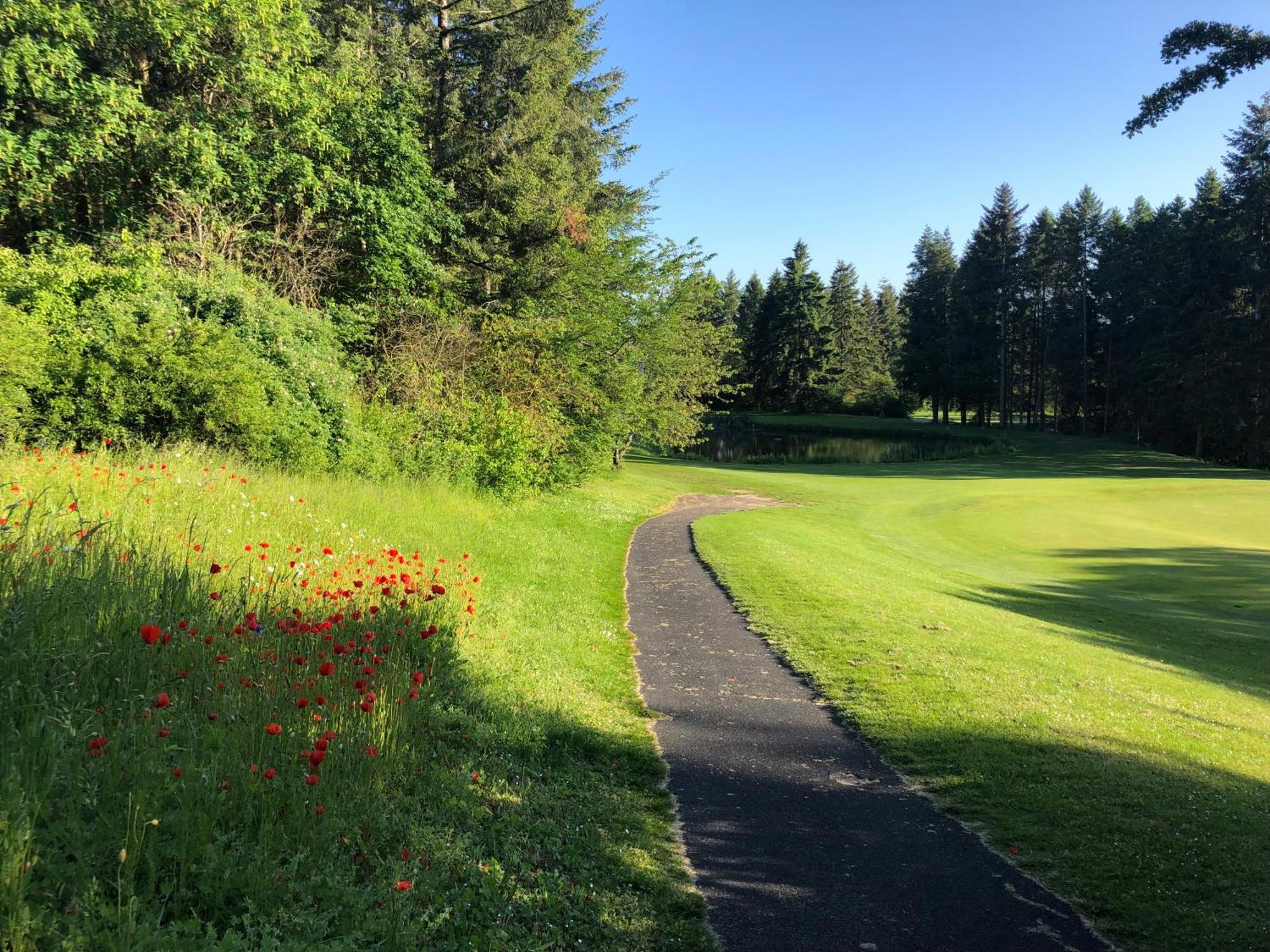 Gaestehaus Koehler Waldsolms Exteriör bild