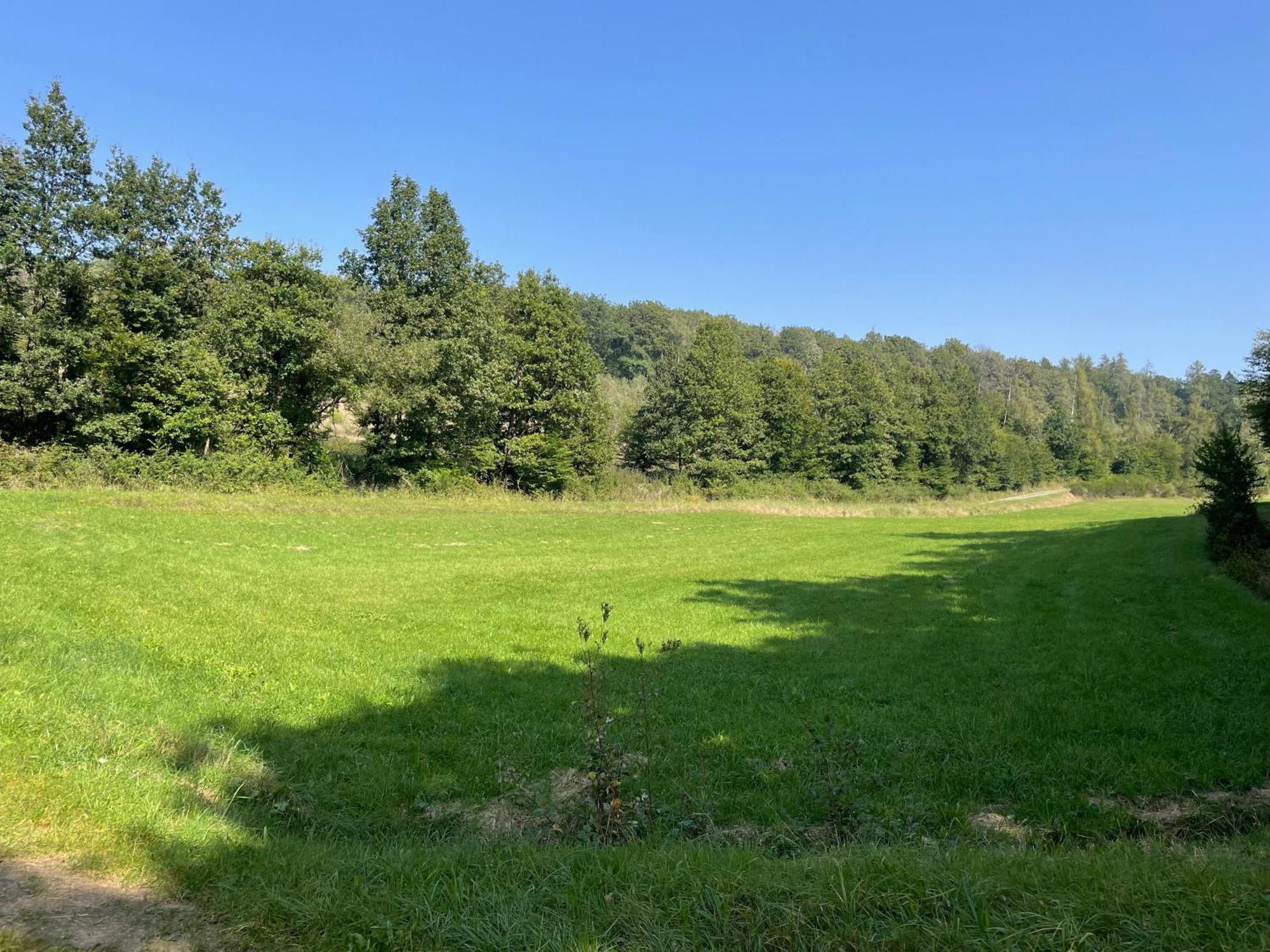 Gaestehaus Koehler Waldsolms Exteriör bild