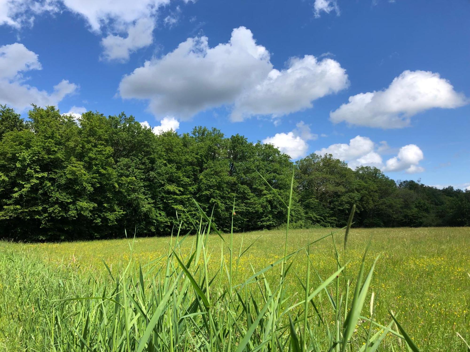 Gaestehaus Koehler Waldsolms Exteriör bild