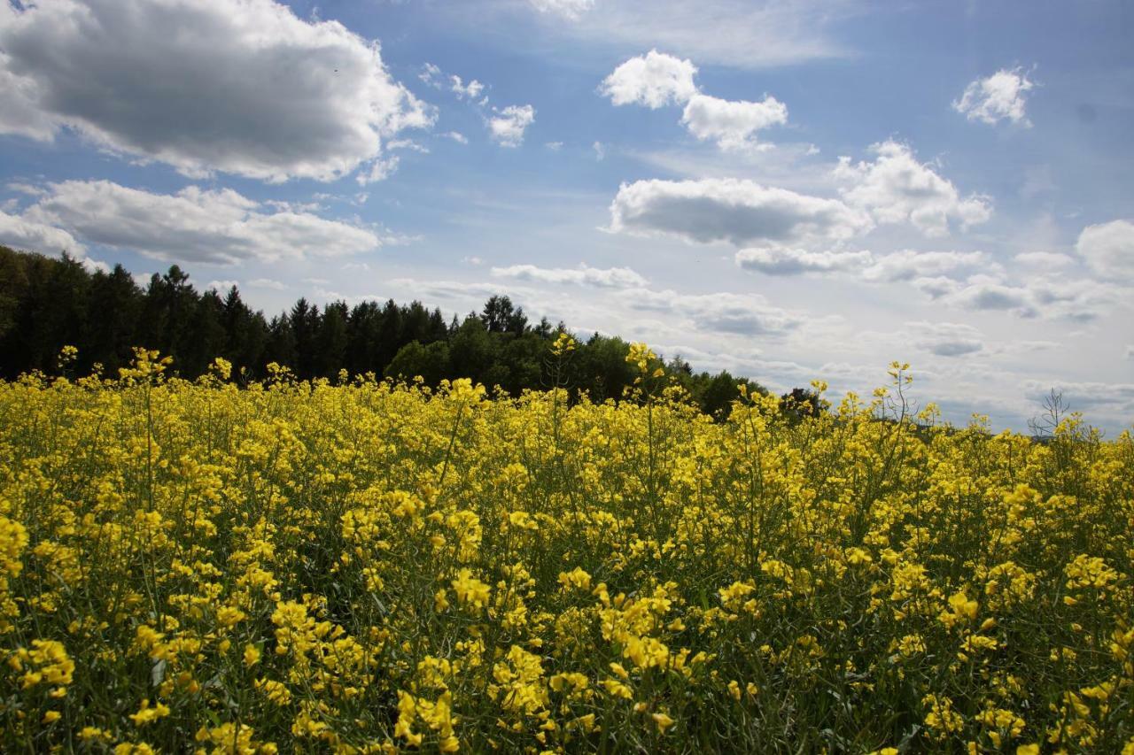 Gaestehaus Koehler Waldsolms Exteriör bild